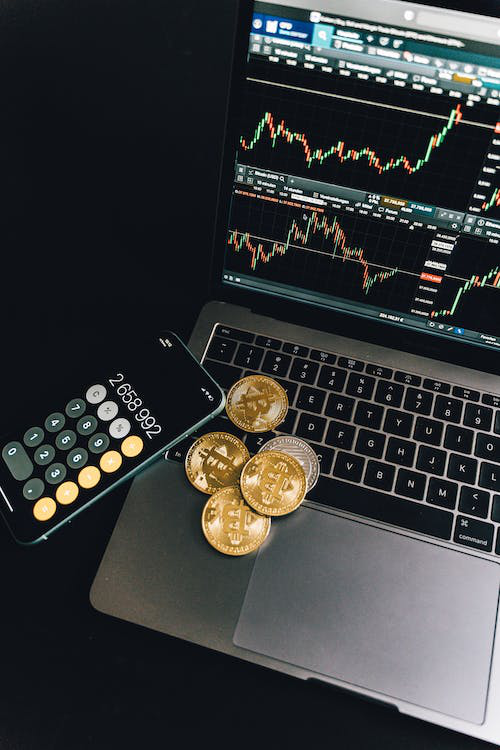 different cryptocurrencies