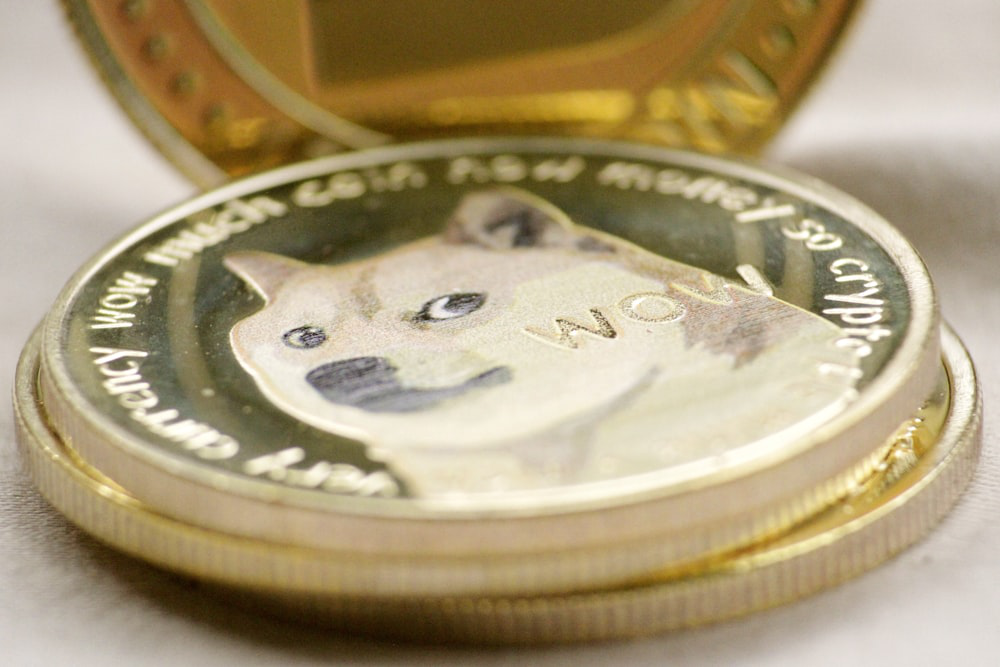 doggo meme coins 