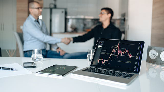 An investment consultant guiding a client