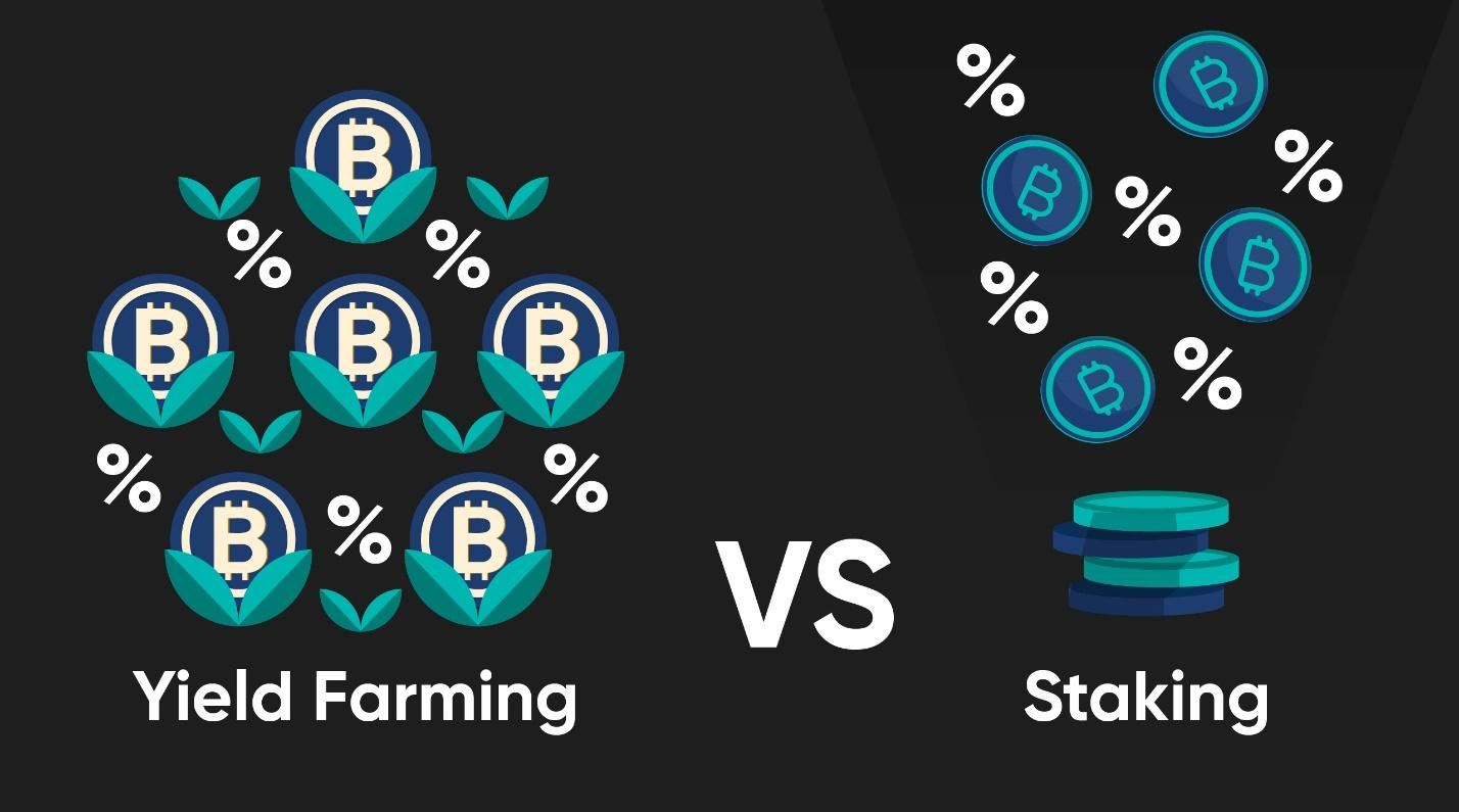 Comparison between yield farming and staking.