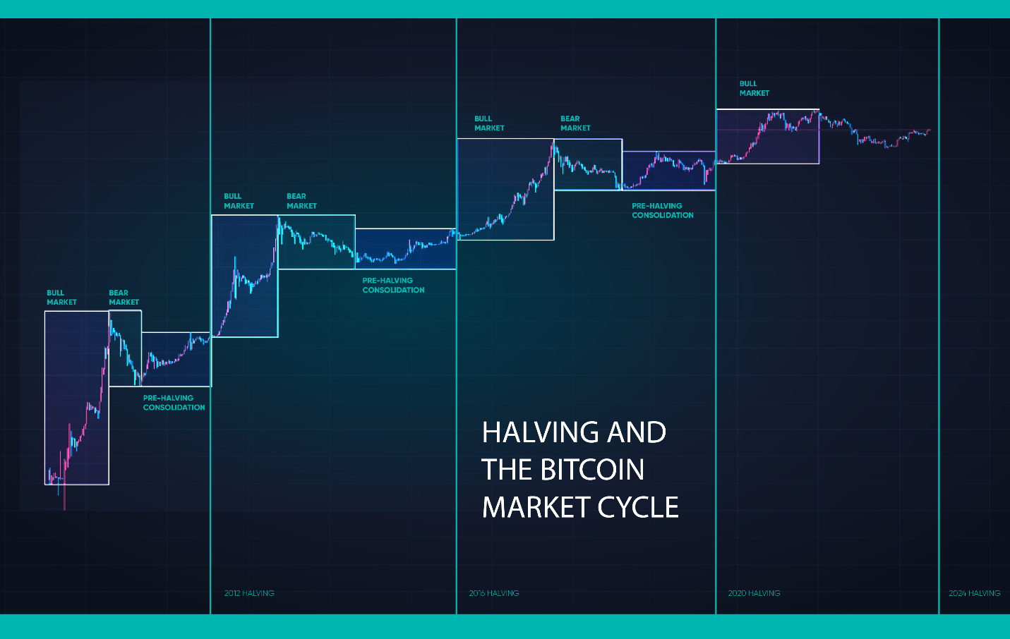 The Bitcoin market cycle.