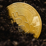 A gold Bitcoin coin partially buried in dark soil.