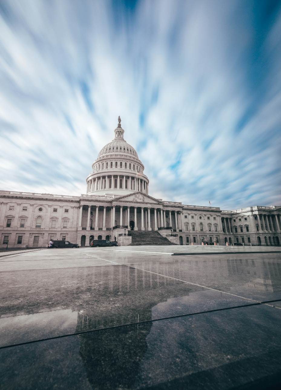 The United States Capitol Building.