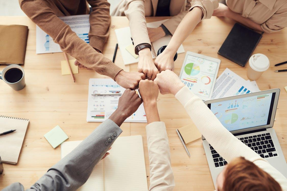 photo of people having fist bump