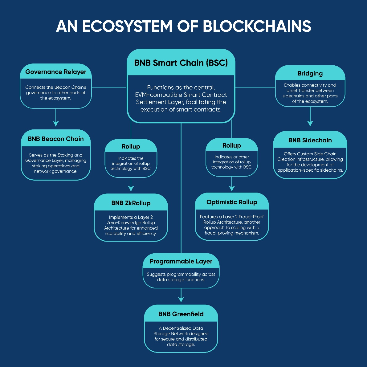 The technological core of blockchain networks like BNB Smart Chain.