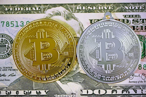 Bitcoins placed on dollar bills showing digital asset value