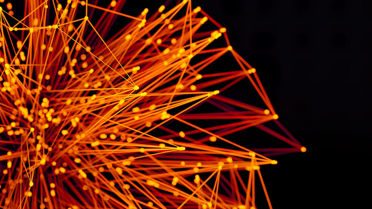 Visualization of a cluster within a network