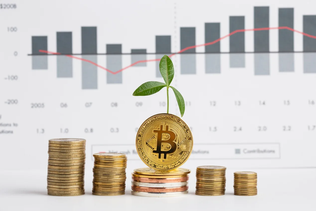 Bitcoin and gold as scarce assets within the global monetary system
