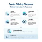 Diagram outlining issuer, project, financial, risk, and ongoing reporting disclosures.